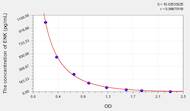 Rat ENK(Enkephalin) ELISA Kit