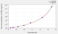 Human LBX1(Transcription Factor LBX1) ELISA Kit