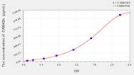 Mouse CAMK2b(Calcium/Calmodulin Dependent Protein Kinase II β) ELISA Kit