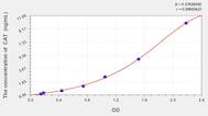 Horse CAT(Catalase) ELISA Kit