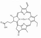 Cu(II) Pyropheophorbide a