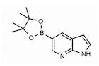 7-Azaindole-5-boronic acid pinacol ester