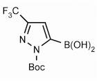 1-Boc-3-trifluoromethylpyrazole-5-boronic acid
