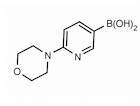 6-(4-Morpholino)pyridine-3-boronic acid