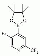 5-Bromo-2-(trifluoromethyl)pyridine-4-boronic acid pinacol ester