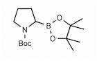 1-Boc-pyrrolidine-2-boronic acid pinacol ester