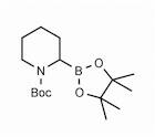 1-(tert-Butoxycarbonyl)piperidin-2-ylboronic acid pinacol ester