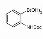 2-(N-Boc-amino)phenylboronic acid