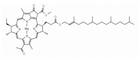 Bacteriochlorophyll a from Rhodopseudomonas sphaeroides (under argon)