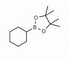 Cyclohexylboronic acid pinacol ester