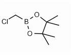 Chloromethylboronic acid pinacol ester