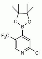 2-Chloro-5-(trifluoromethyl)pyridin-4-ylboronic acid pinacol ester