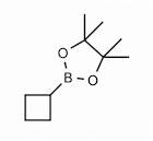 Cyclobutylboronic acid pinacol ester