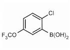 2-Chloro-5-(trifluoromethoxy)phenylboronic acid