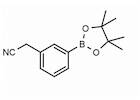 (3-Cyanomethyl)phenylboronic acid pinacol ester