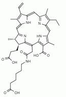 Chlorin e6 mono 6-amino hexanoic acid amide