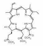 Chlorin e6 trimethyl ester