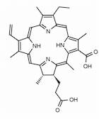 Chlorin e4