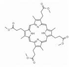 Coproporphyrin I tetramethyl ester