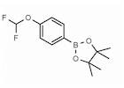 4-(Difluoromethoxy)phenylboronic acid pinacol ester
