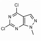 4,6-Dichloro-1-methyl-1H-pyrazolo[3,4-d]pyrimidine