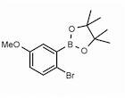 2-Bromo-5-methoxyphenylboronic acid pinacol ester