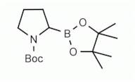 1-Boc-pyrrolidine-2-boronic acid pinacol ester