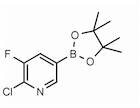 2-Chloro-3-fluoropyridine-5-boronic acid pinacol ester