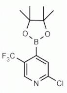 2-Chloro-5-(trifluoromethyl)pyridin-4-ylboronic acid pinacol ester