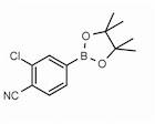 3-Chloro-4-cyanophenylboronic acid pinacol ester