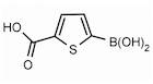 2-Carboxythiophene-5-boronic acid