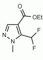 Ethyl 1-methyl-5-(difluoromethyl)-1H-pyrazole-4-carboxylate