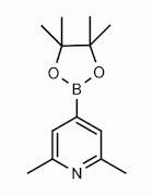2,6-Dimethylpyridin-4-ylboronic acid pinacol ester