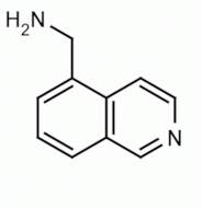 (Isoquinolin-5-yl)methanamine