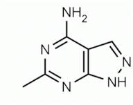 6-Methyl-1H-pyrazolo[3,4-d]pyrimidin-4-amine