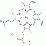 Mg(II) Protoporphyrin IX Dipotassium Salt
