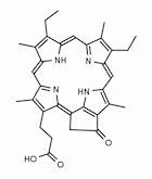 Phylloerythrin