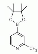 2-(Trifluoromethyl)pyridine-4-boronic acid pinacol ester