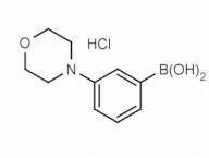 3-(Morpholin-1-yl)phenylboronic acid hydrochloride