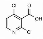 2,4-Dichloronicotinic acid