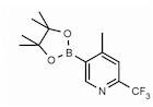 6-(Trifluoromethyl)-4-methylpyridin-3-boronic acid pinacol ester