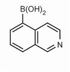 Isoquinoline-5-boronic acid