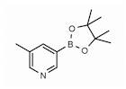 5-Methylpyridine-3-boronic acid pinacol ester