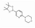 2-(4-Morpholino)pyridine-5-boronic acid pinacol ester