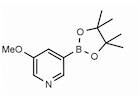 3-Methoxypyridine-5-boronic acid pinacol ester