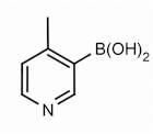 4-Methylpyridine-3-boronic acid