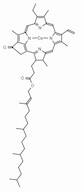 Cu(II) Pyropheophytin a