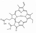 Cu(II) Pheophorbide a