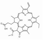 Pheophorbide a (mixture of diastereomers)