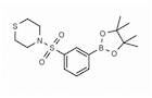 3-(Thiomorpholinosulfonyl)phenylboronic acid pinacol ester